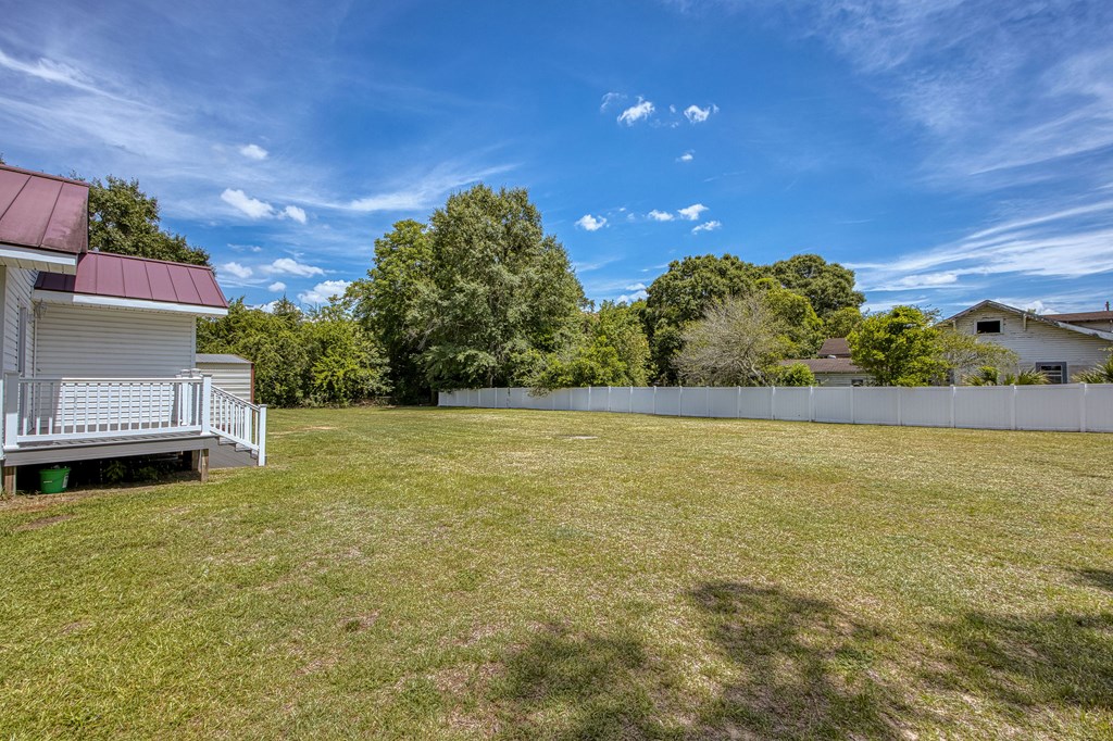 101 South Johnson Street Samson, AL 36477 - Photo 39 of 53