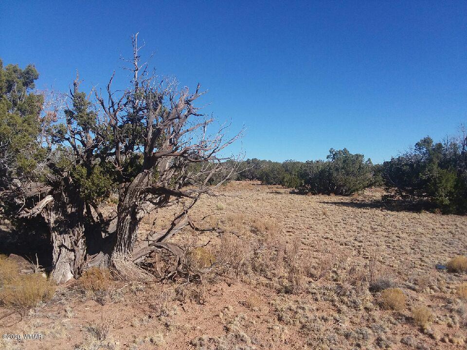 Lot 86 Witch Well Ranch St. Johns, AZ 85936 - Photo 1 of 6