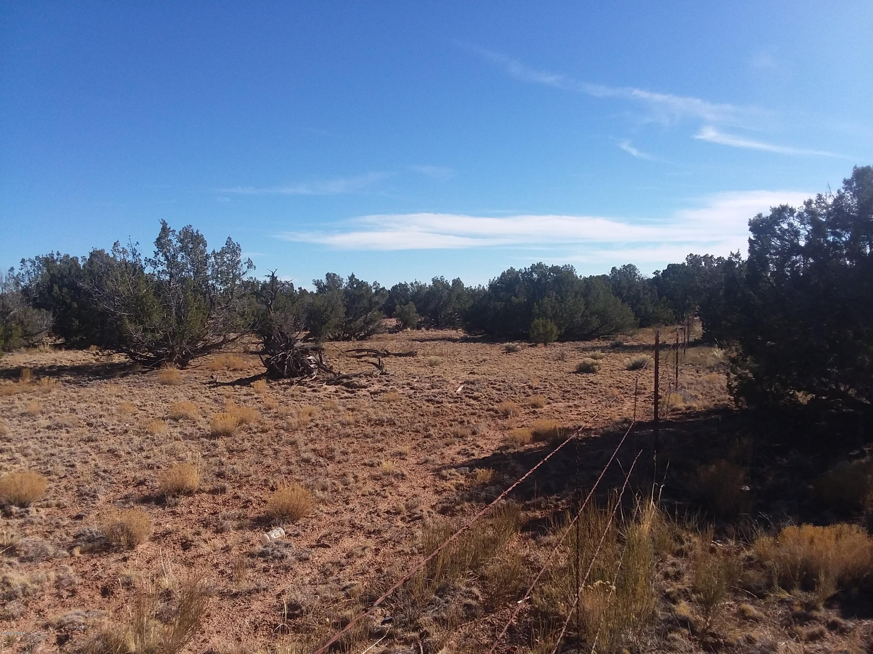 Lot 86 Witch Well Ranch St. Johns, AZ 85936 - Photo 2 of 6