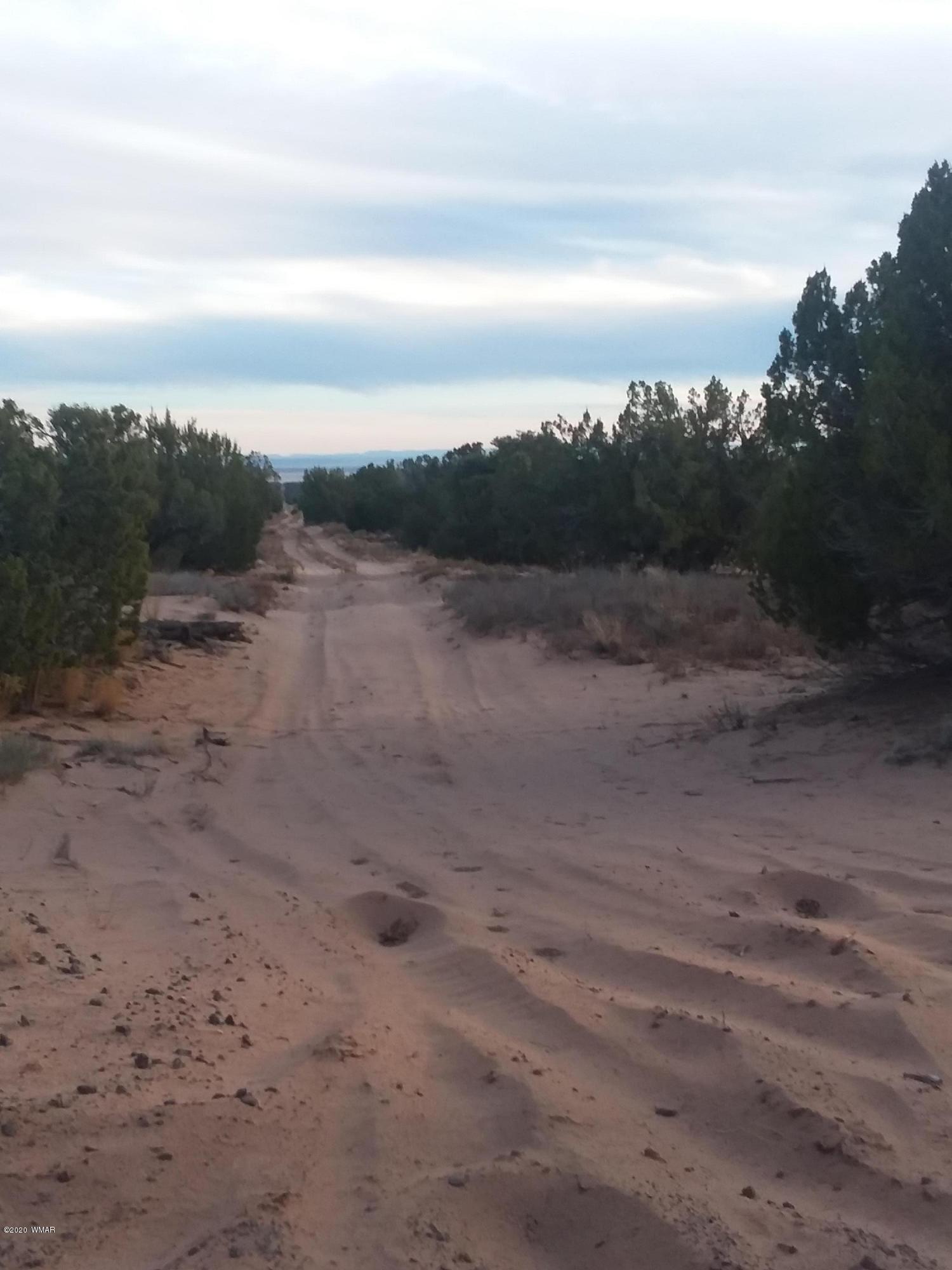 Lot 86 Witch Well Ranch St. Johns, AZ 85936 - Photo 6 of 6