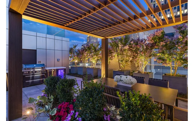 a view of a roof deck with couches and potted plants
