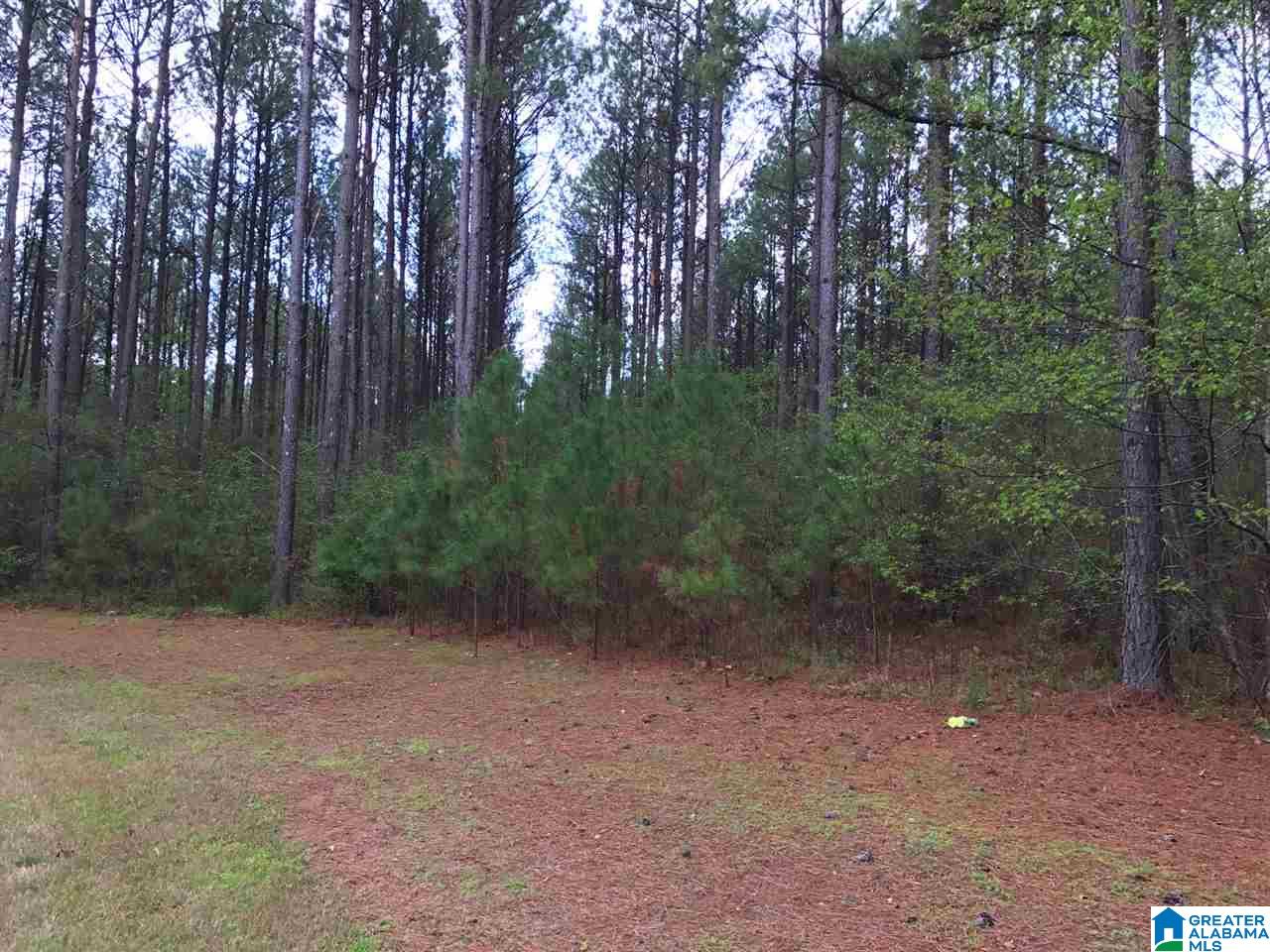 78 Pilgrims Path, Unit 19 Anniston, AL 36207 - Photo 7 of 35