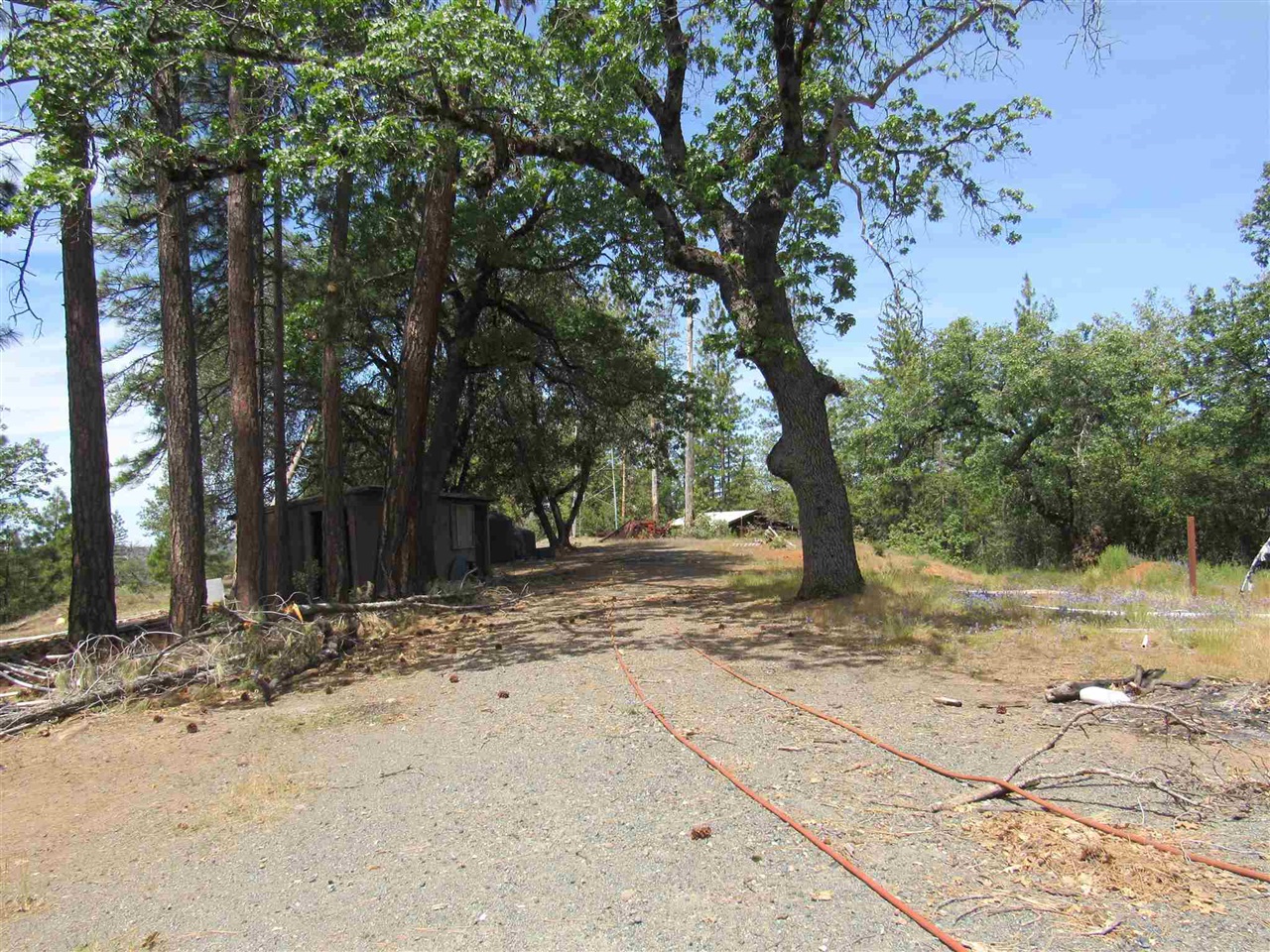 28470 Italian Bar Road Twain Harte, CA 95383 - Photo 4 of 13 a view of a yard with trees