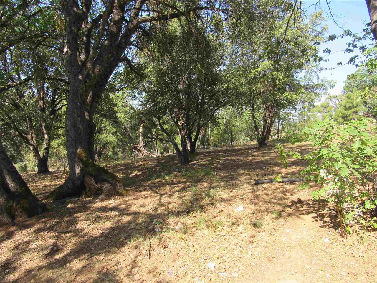 28470 Italian Bar Road Twain Harte, CA 95383 - Photo 5 of 13 a view of backyard of a house