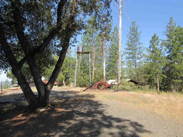 a view of a yard with a tree