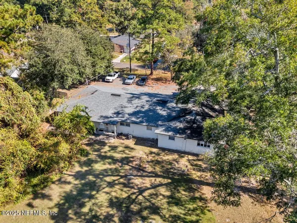 a view of a yard with plants and large trees