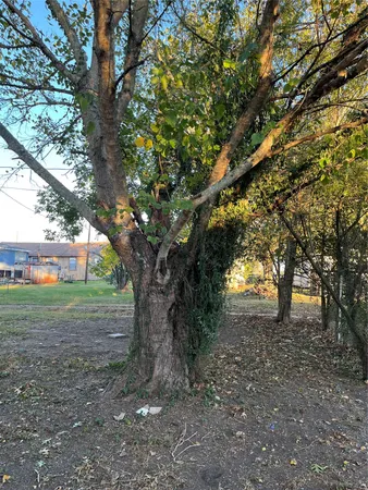 $1,100 | 305 7th Street, Rosenberg, TX 77471