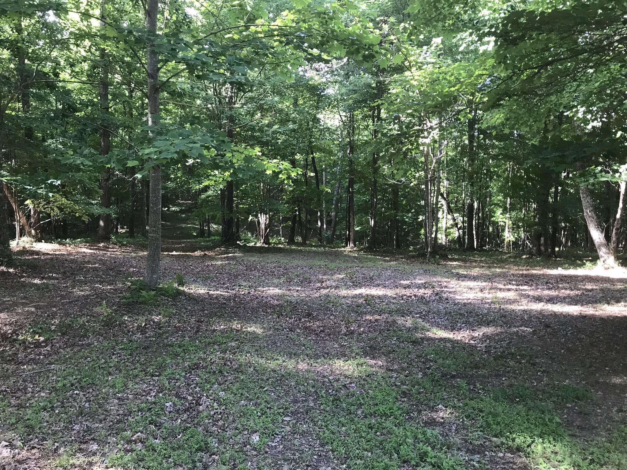 503 Wilderness Way Dunlap, TN 37327 - Photo 14 of 22
