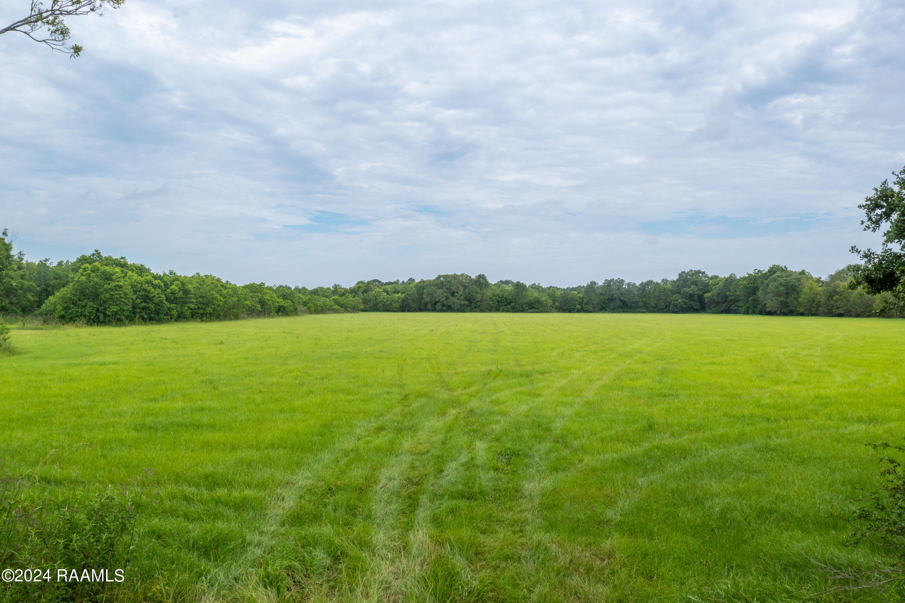 Tbd Nicole Road Church Point, LA 70525 - Photo 4 of 7 IMG_8977