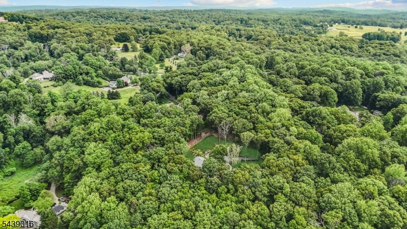 246 Mt Harmony Road Bernardsville, NJ 07924 - Photo 47 of 47