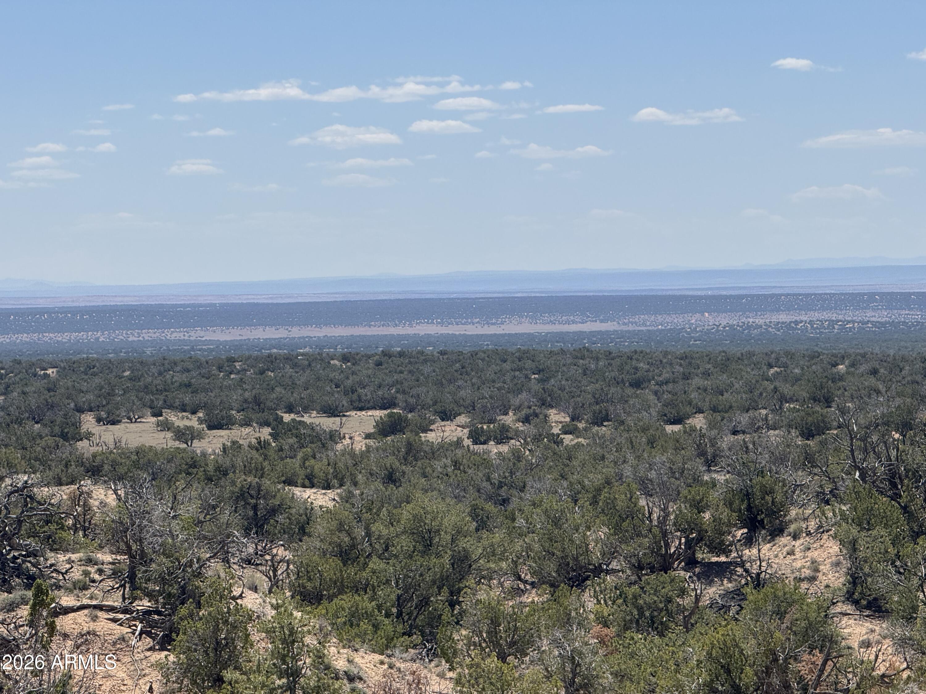 Lot 70 Red Sky Ranch, Unit 70 St. Johns, AZ 85936 - Photo 11 of 15