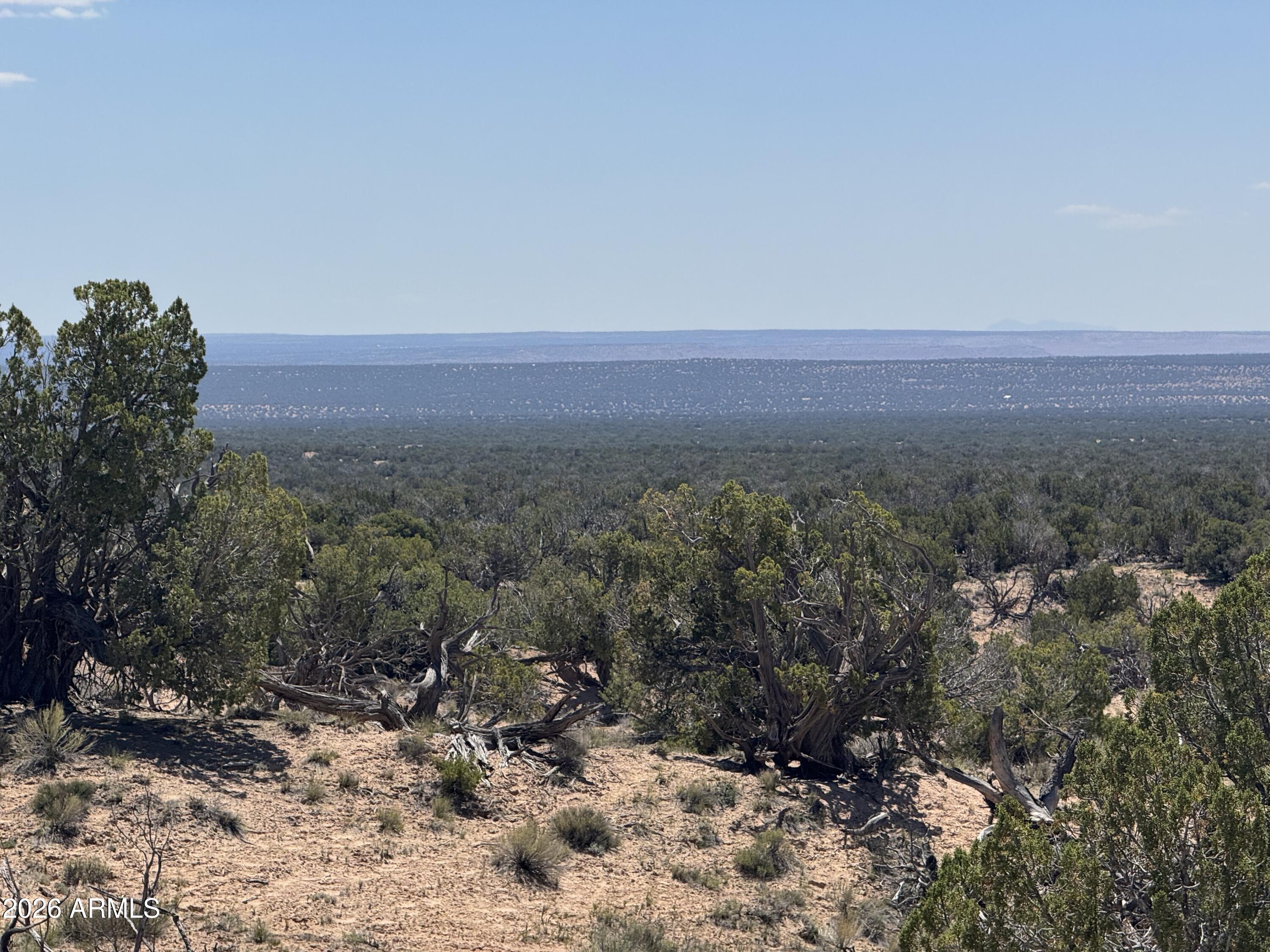 Lot 70 Red Sky Ranch, Unit 70 St. Johns, AZ 85936 - Photo 12 of 15 a view of a big yard with mountain and trees