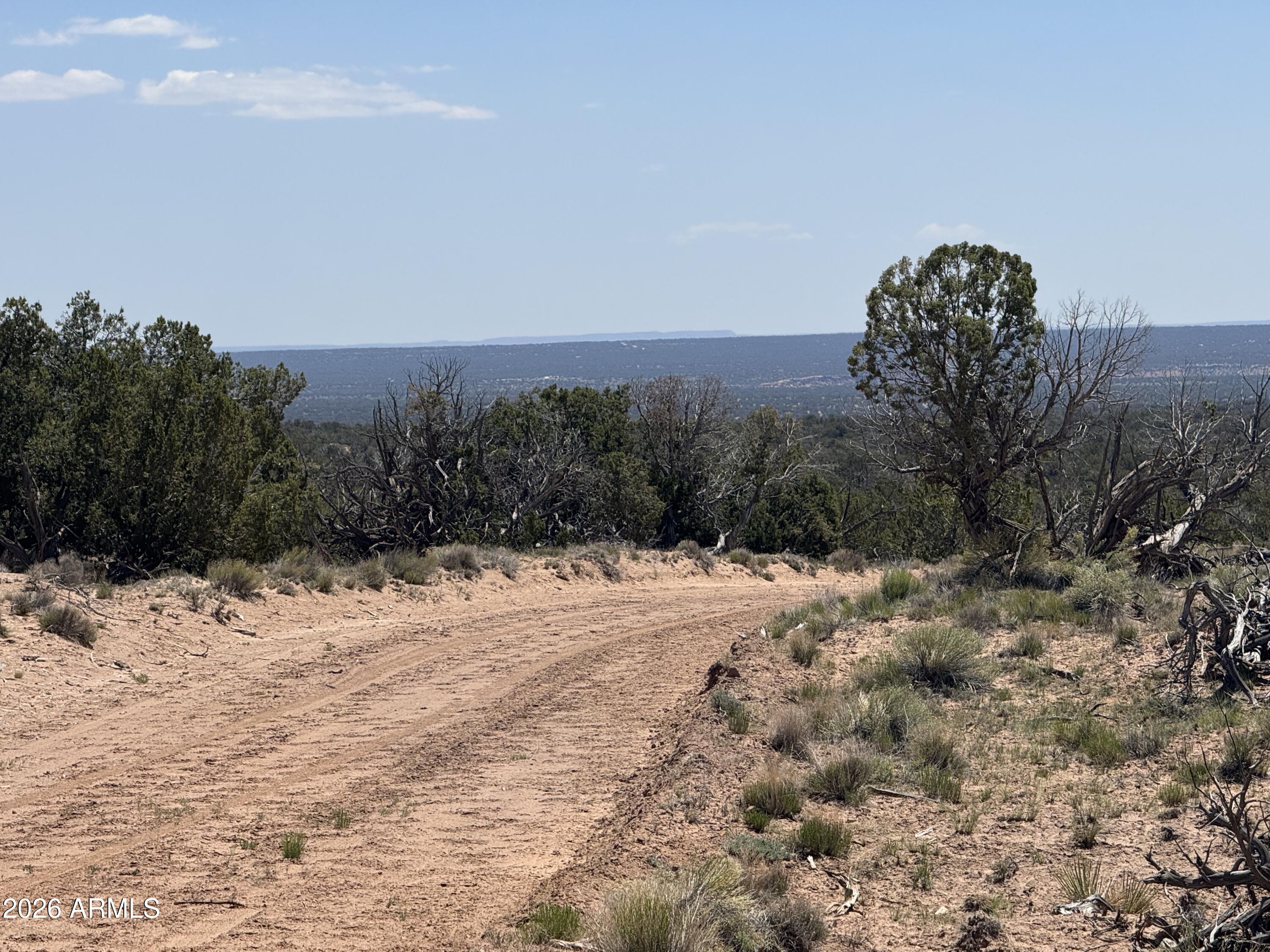 Lot 70 Red Sky Ranch, Unit 70 St. Johns, AZ 85936 - Photo 13 of 15 a view of a backyard of a house