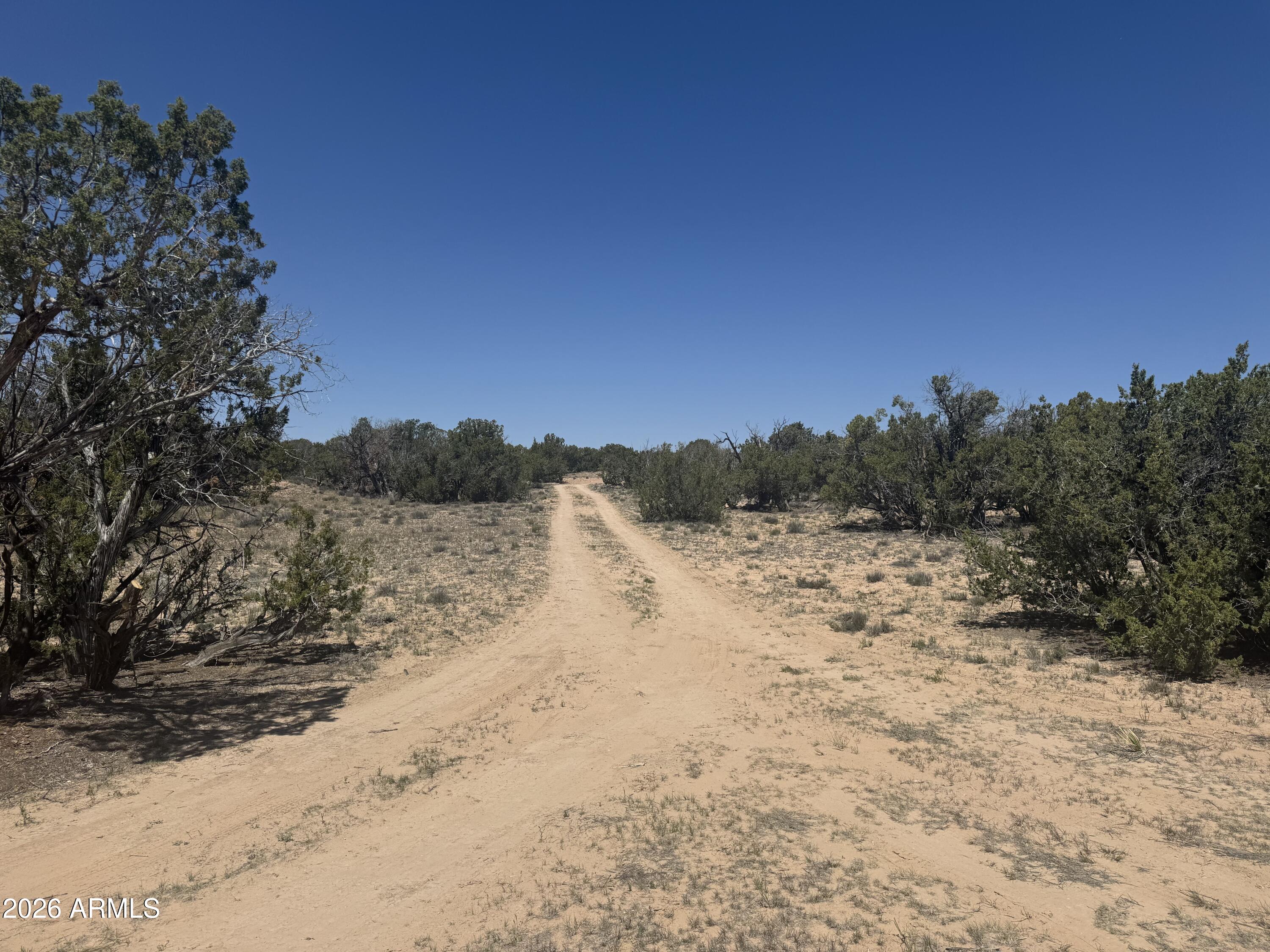 Lot 70 Red Sky Ranch, Unit 70 St. Johns, AZ 85936 - Photo 14 of 15 a view of a yard with a tree