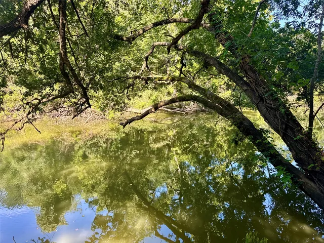 a view of a green yard