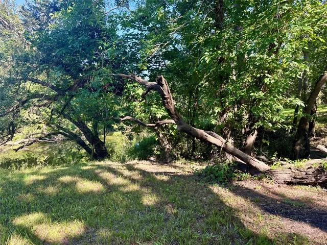 a view of yard with swimming pool and green space