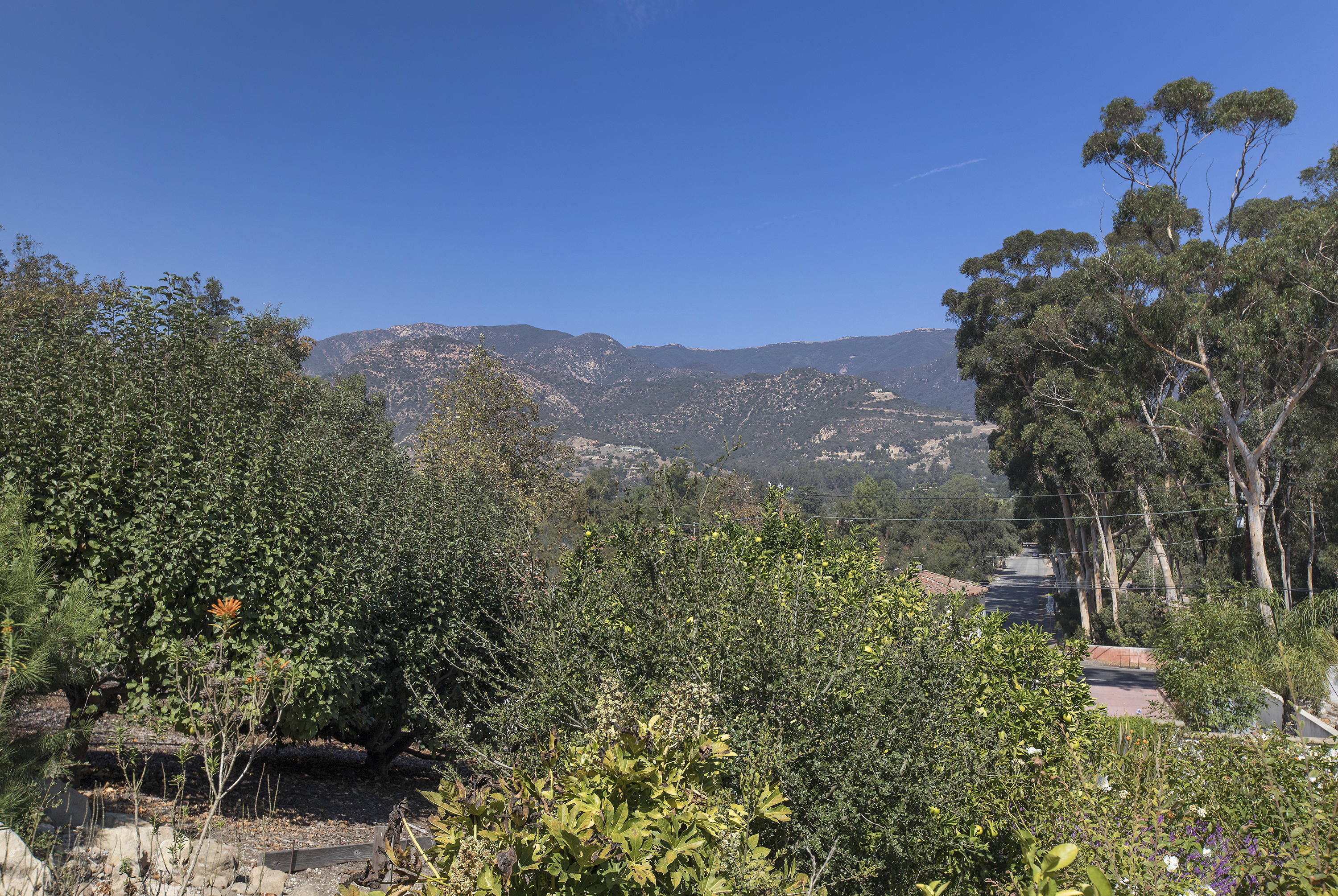 3165 Eucalyptus Hill Road Santa Barbara, CA 93108 - Photo 19 of 21 a view of a house with a mountain and a forest