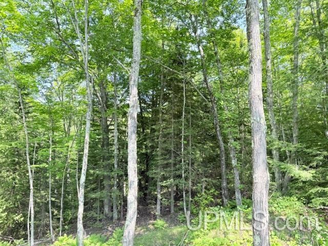 8690 Freda Road Atlantic Mine, MI 49905 - Photo 14 of 23 Gallery Image 14