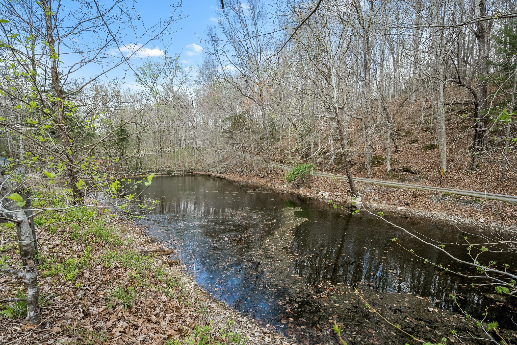 2708 Ledford Mill Road Normandy, TN 37360 - Photo 11 of 99 Gallery Image 11