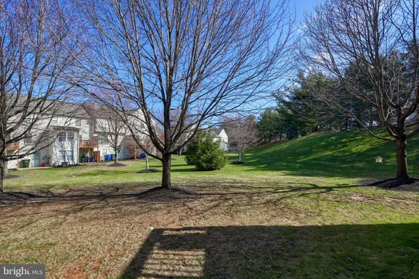 a view of a yard with plants and trees