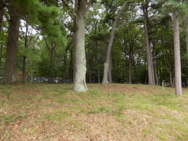 Mcnitt Road Manistee, MI 49660 - Photo 3 of 9 20170821152639313941000000-o