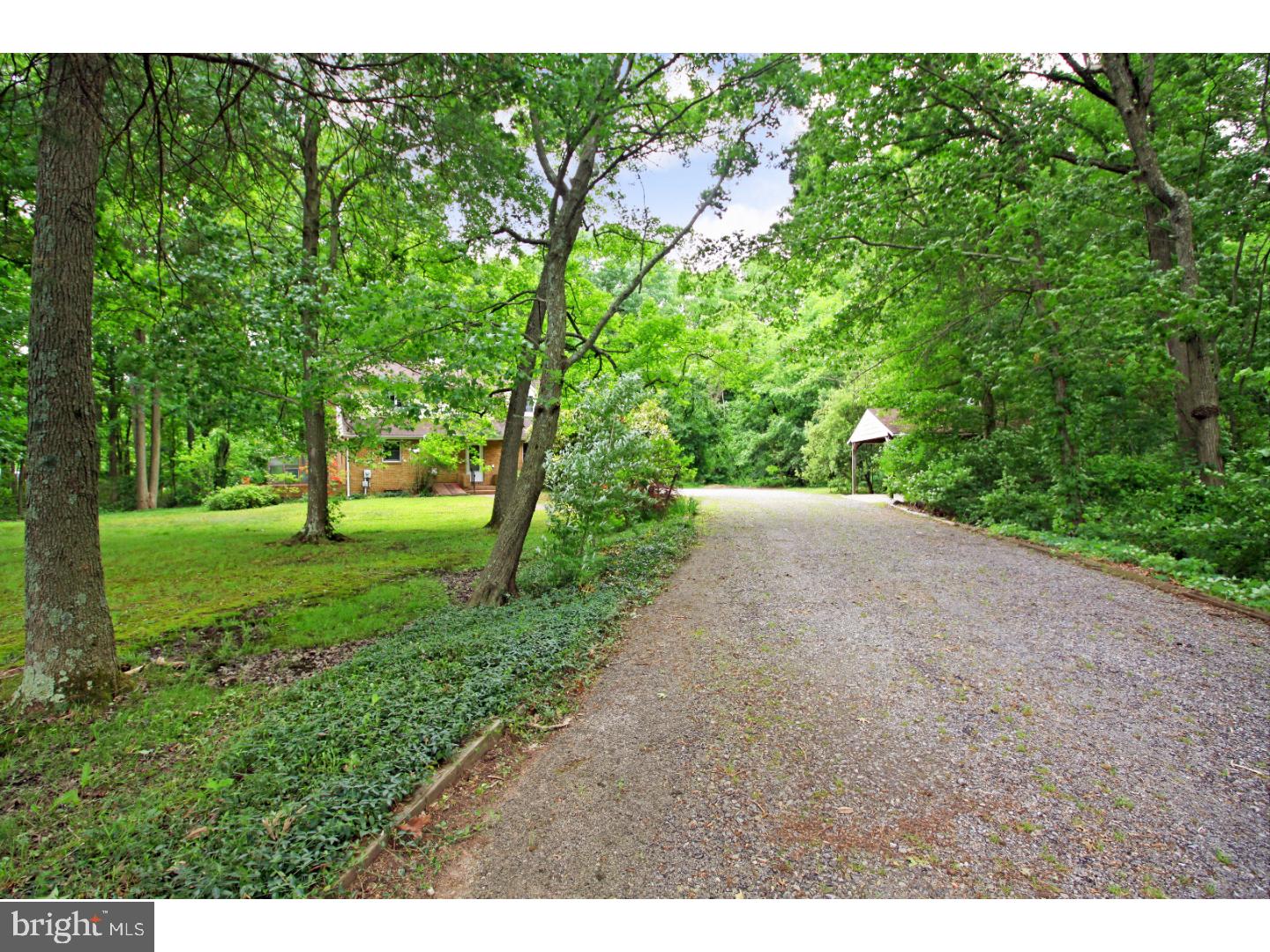 50 Beagle Club Road Pilesgrove, NJ 08098 - Photo 25 of 25 Driveway