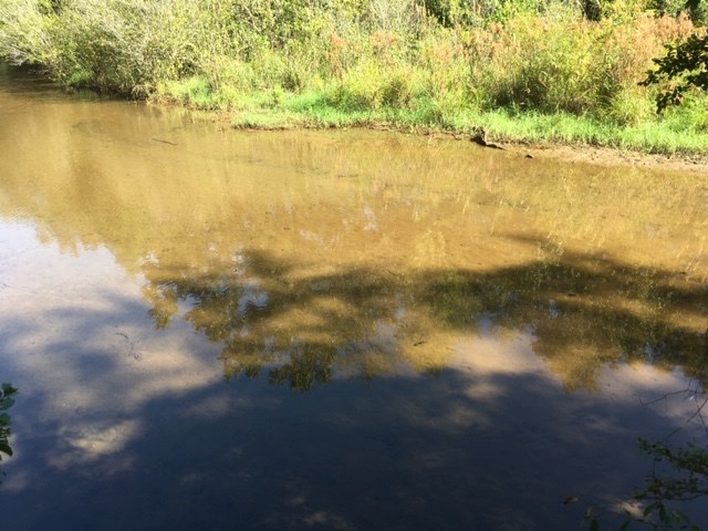 Lot 22 Calhoun Road Abbeville, AL 36310 - Photo 2 of 8