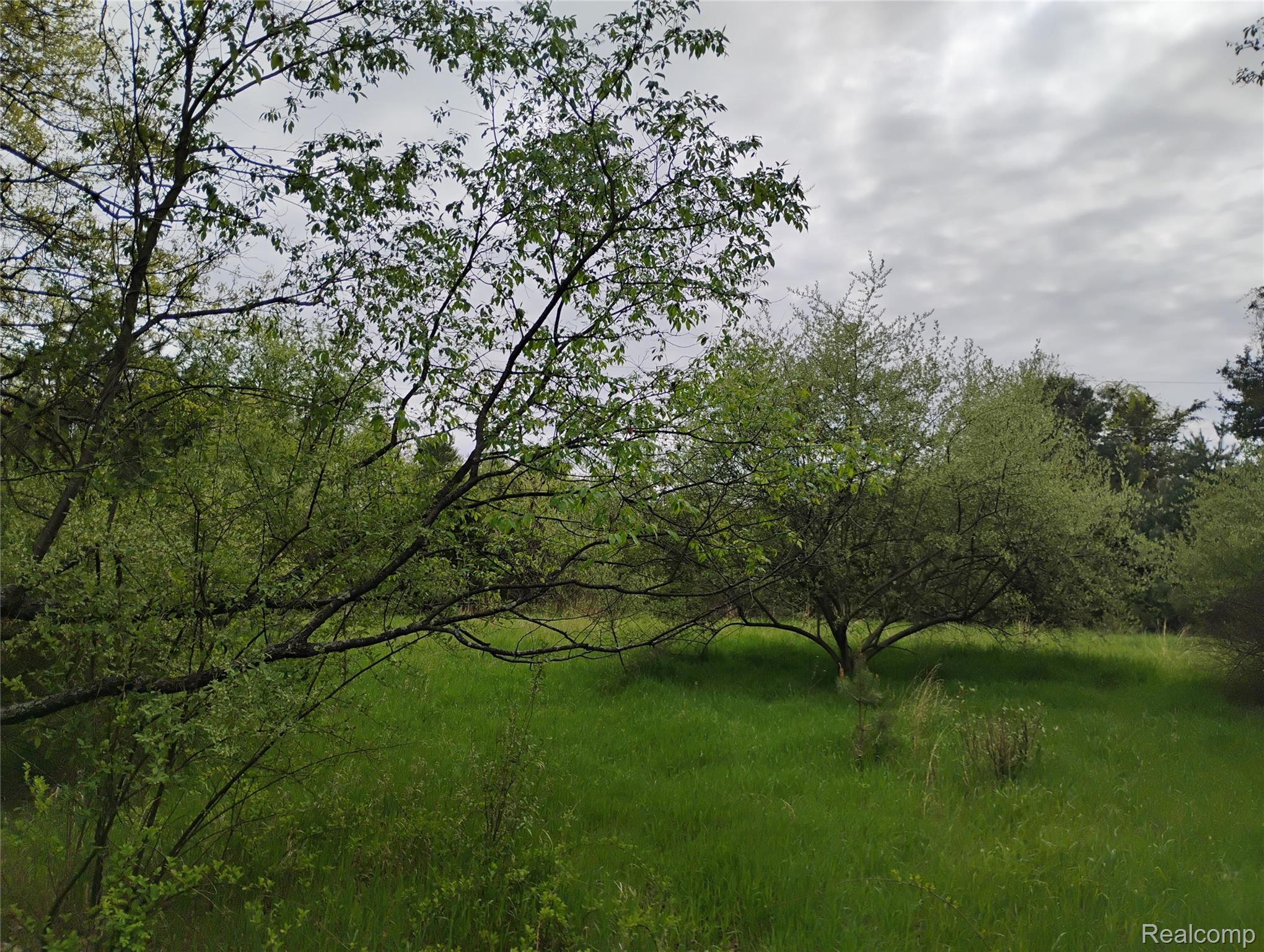 -middle Parcel C Middle Parcel C Middle Road Highland, MI 48357 - Photo 2 of 9 Parcel C photo 4.jpg