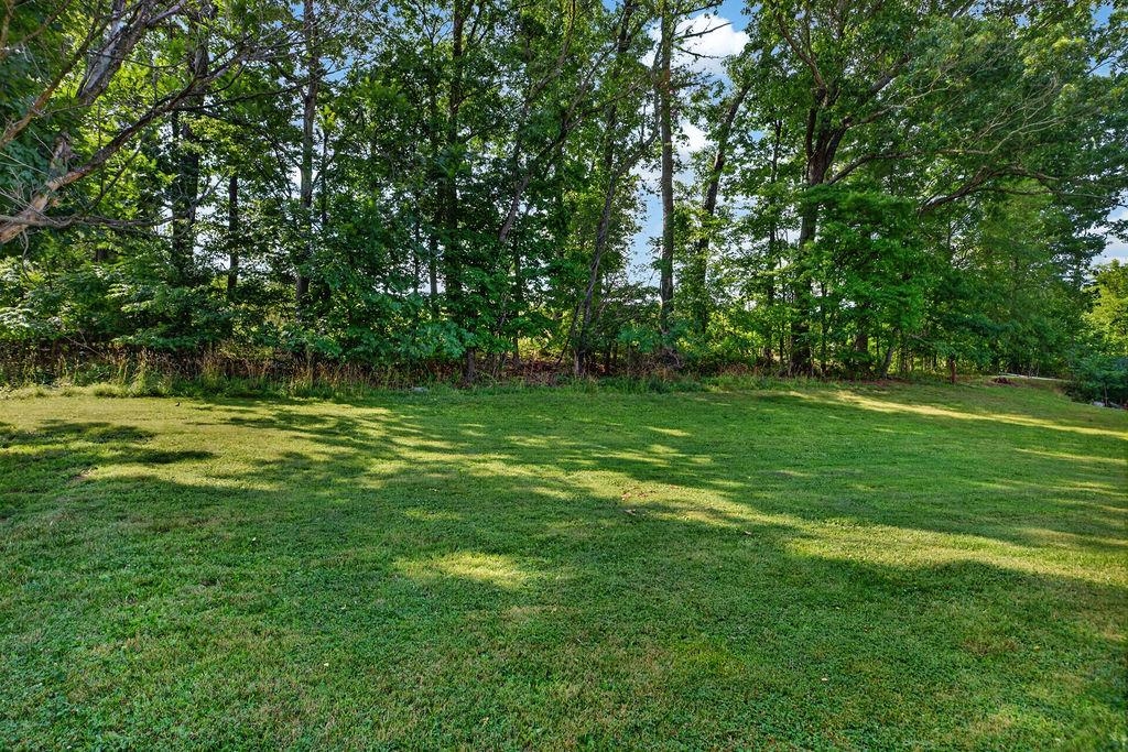 484 Galena Road Staunton, VA 24401 - Photo 6 of 48