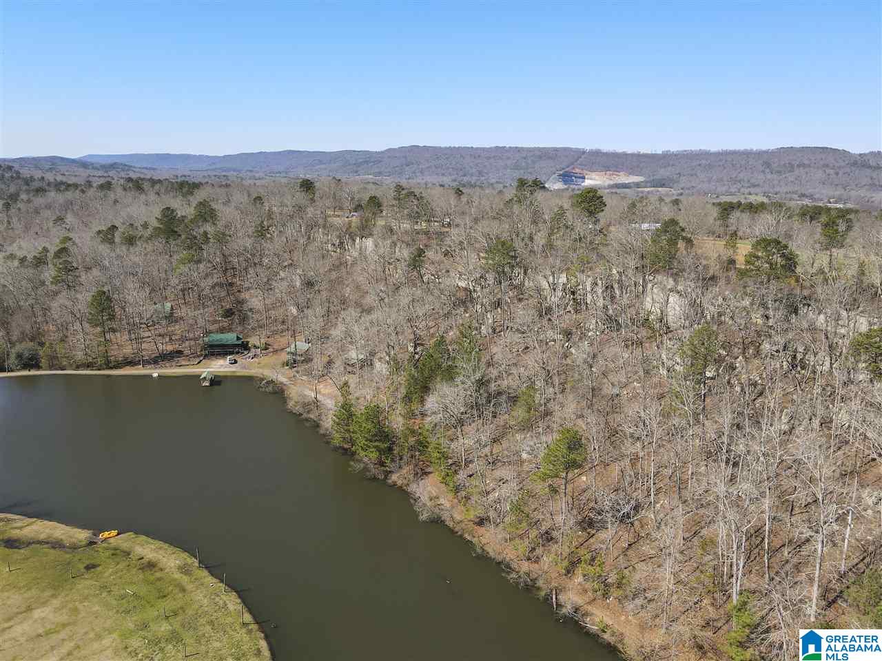 39080 Highway 231 Steele, AL 35987 - Photo 33 of 37