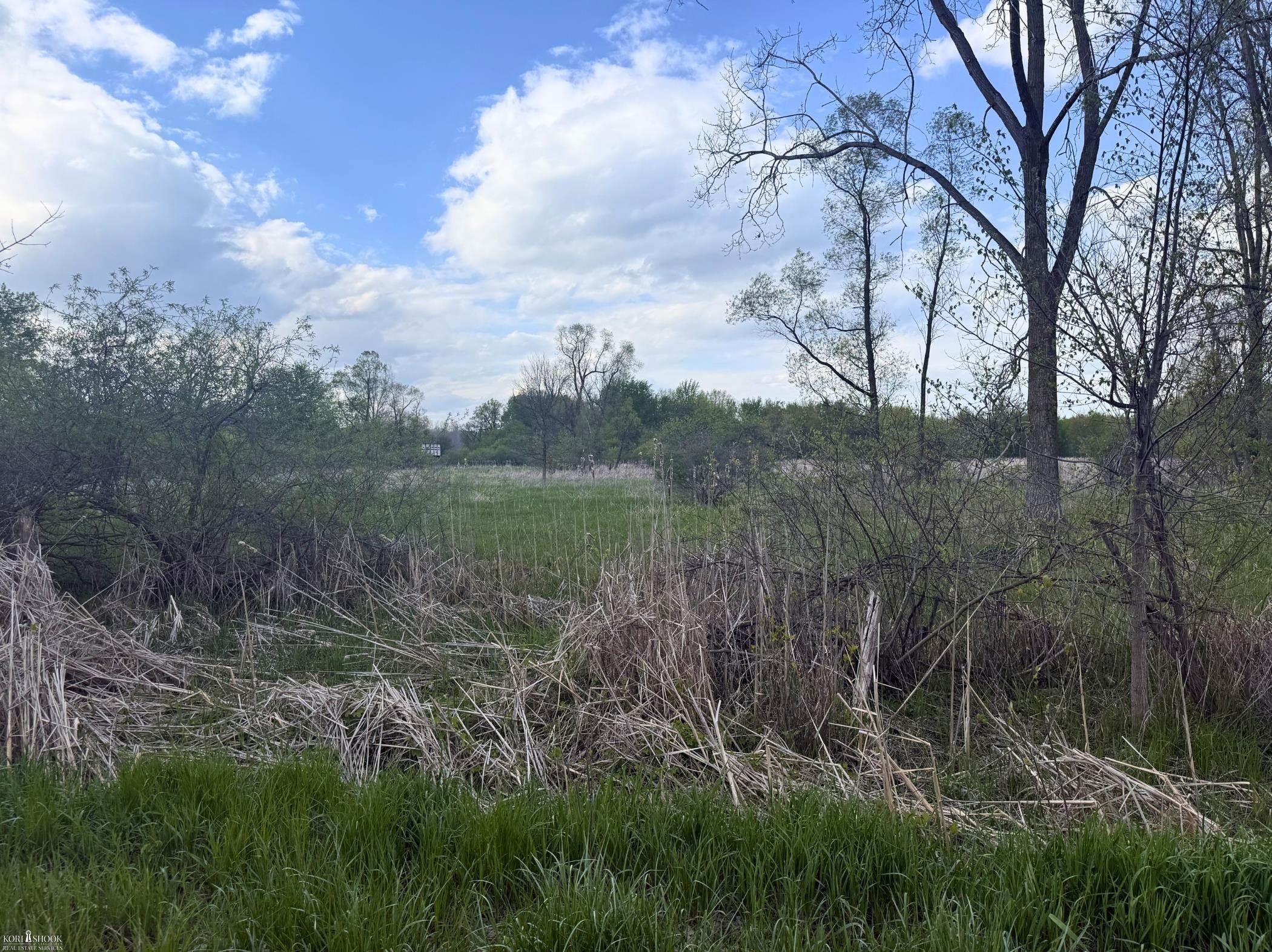 Vacant Land Tyrrell Road Owosso, MI 48867 - Photo 12 of 12
