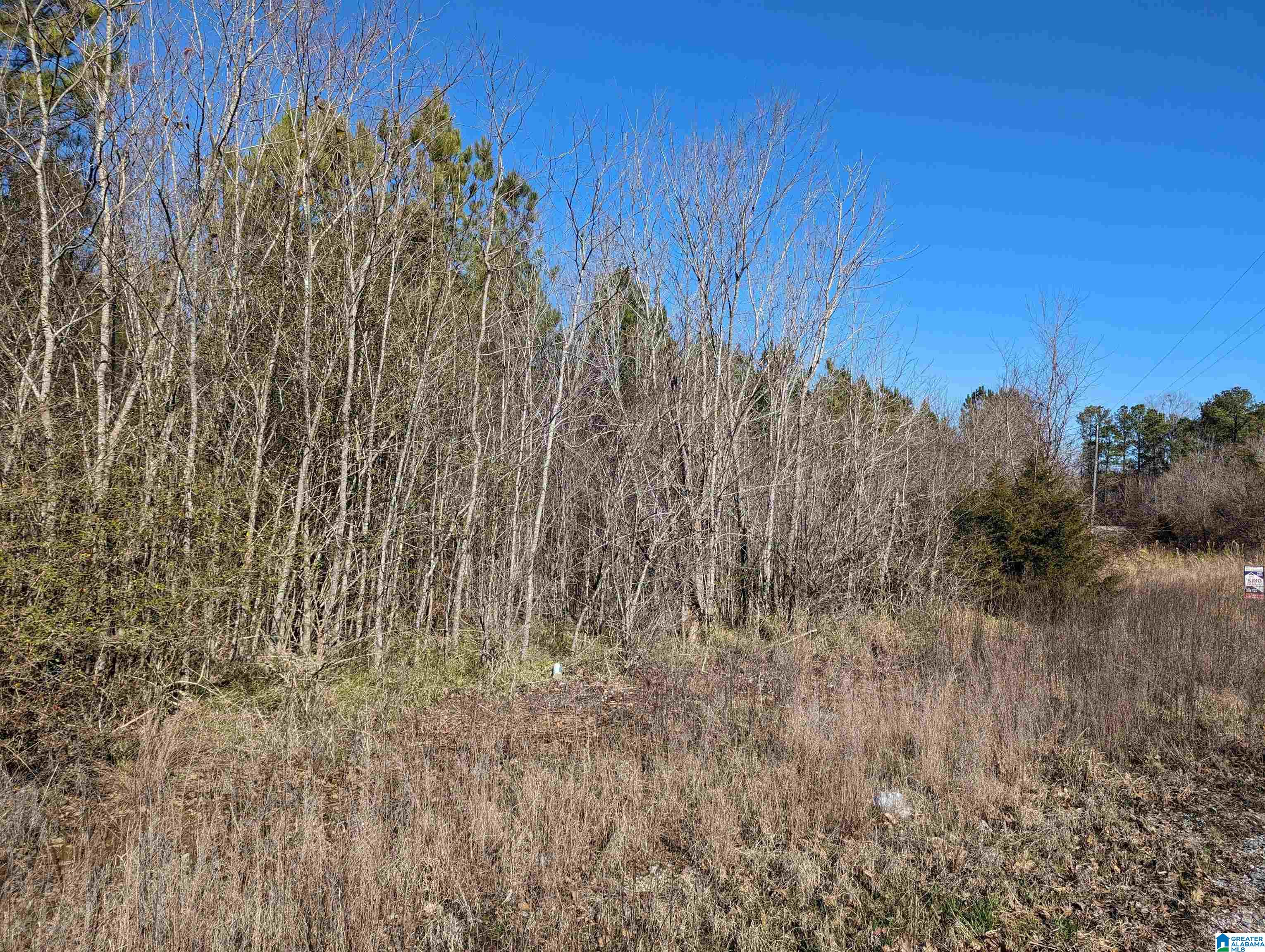 0 Chandler Springs Road Talladega, AL 35160 - Photo 14 of 35