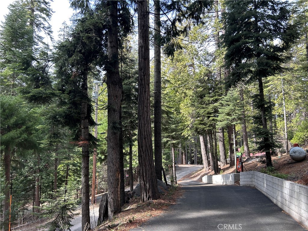 7771 White Chief Mountain Road Fish Camp, CA 93623 - Photo 4 of 4 a view of a street with trees