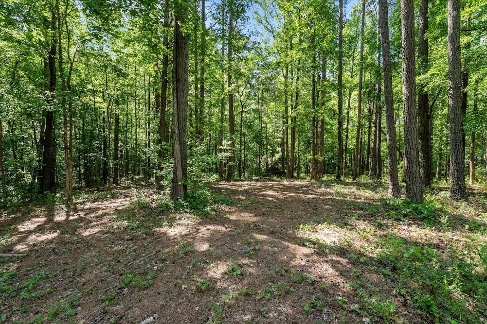 34 Harris Road Carrollton, GA 30116 - Photo 64 of 64