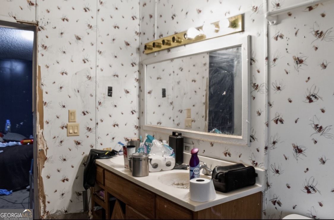 4402 Harper Road Metter, GA 30439 - Photo 15 of 19 a bathroom with a sink and a mirror