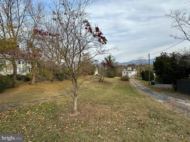 a view of a yard with some trees