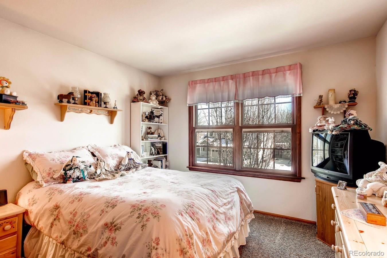9745 Spring Hill Street Highlands Ranch, CO 80129 - Photo 21 of 35