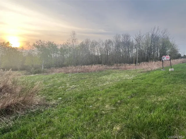 a view of outdoor space with trees all around