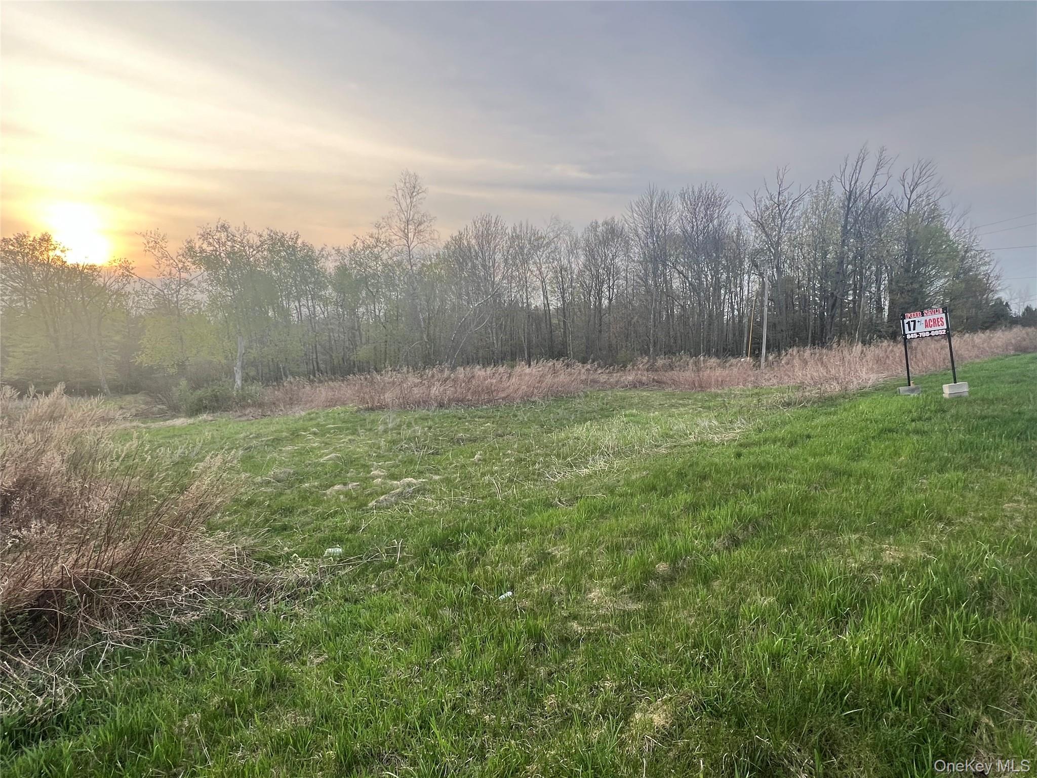 a view of outdoor space with trees all around