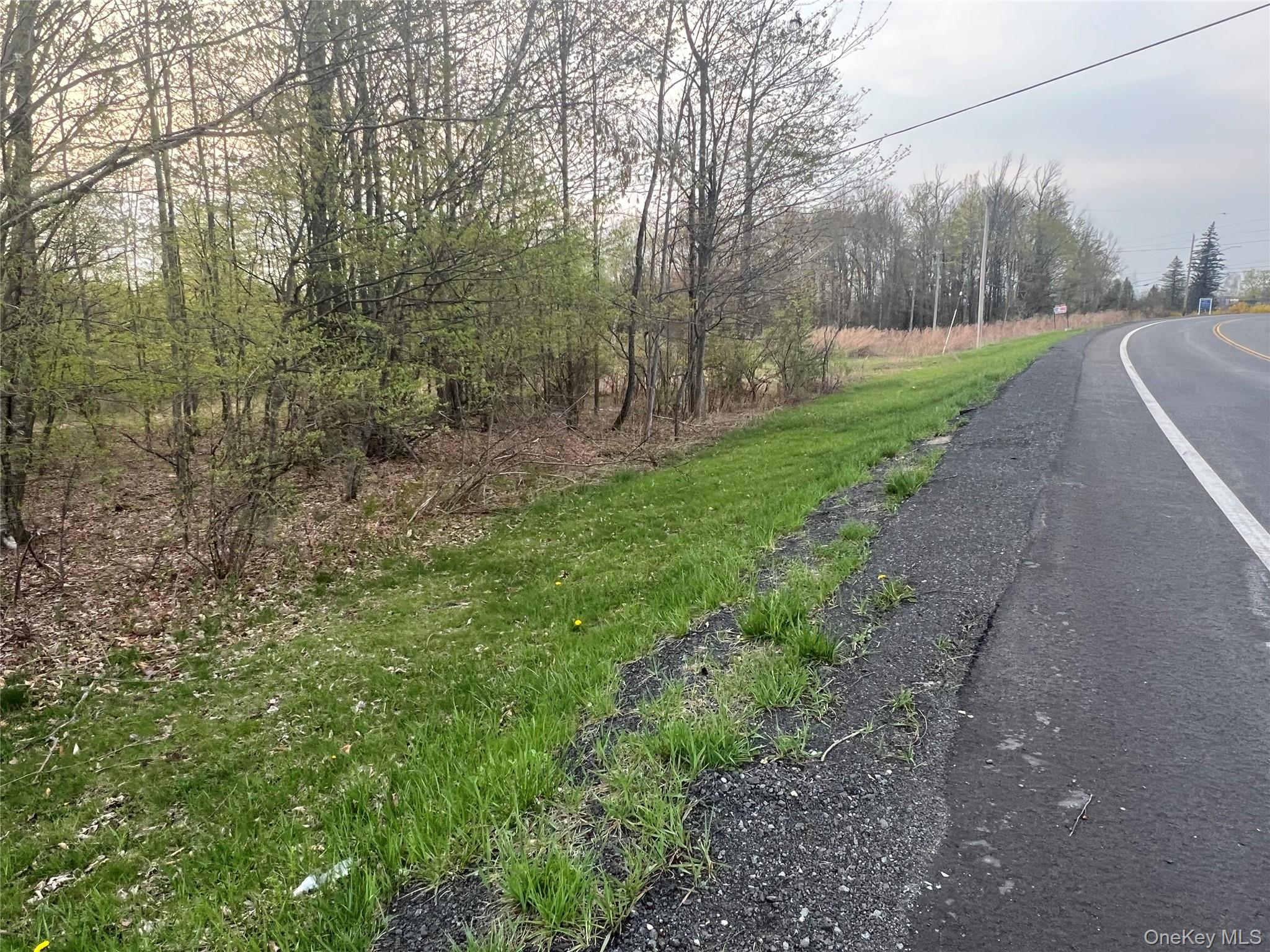 838 Old Liberty Road Monticello, NY 12701 - Photo 2 of 5 a view of a street with a trees