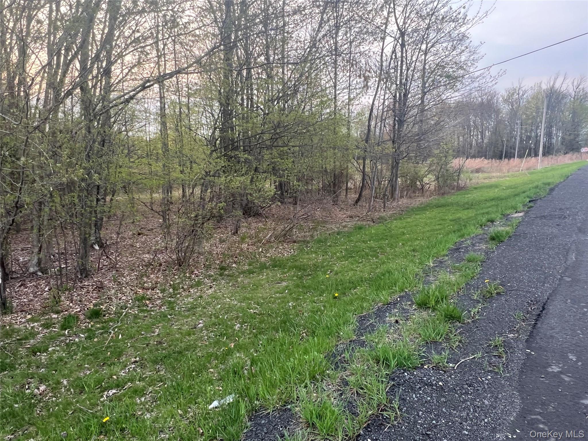 838 Old Liberty Road Monticello, NY 12701 - Photo 3 of 5 a view of a forest with trees