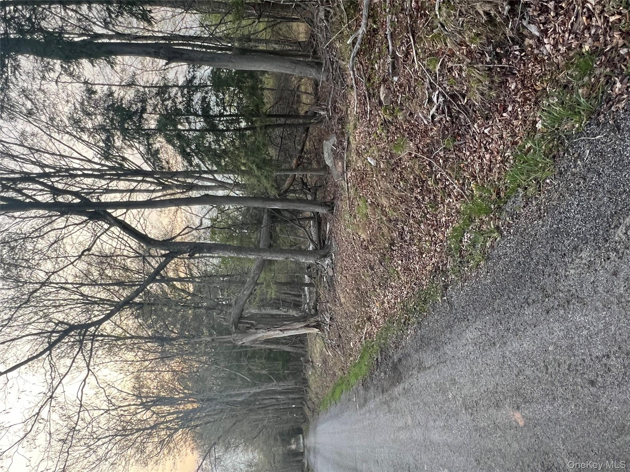 838 Old Liberty Road Monticello, NY 12701 - Photo 5 of 5 a backyard of a house with lots of green space