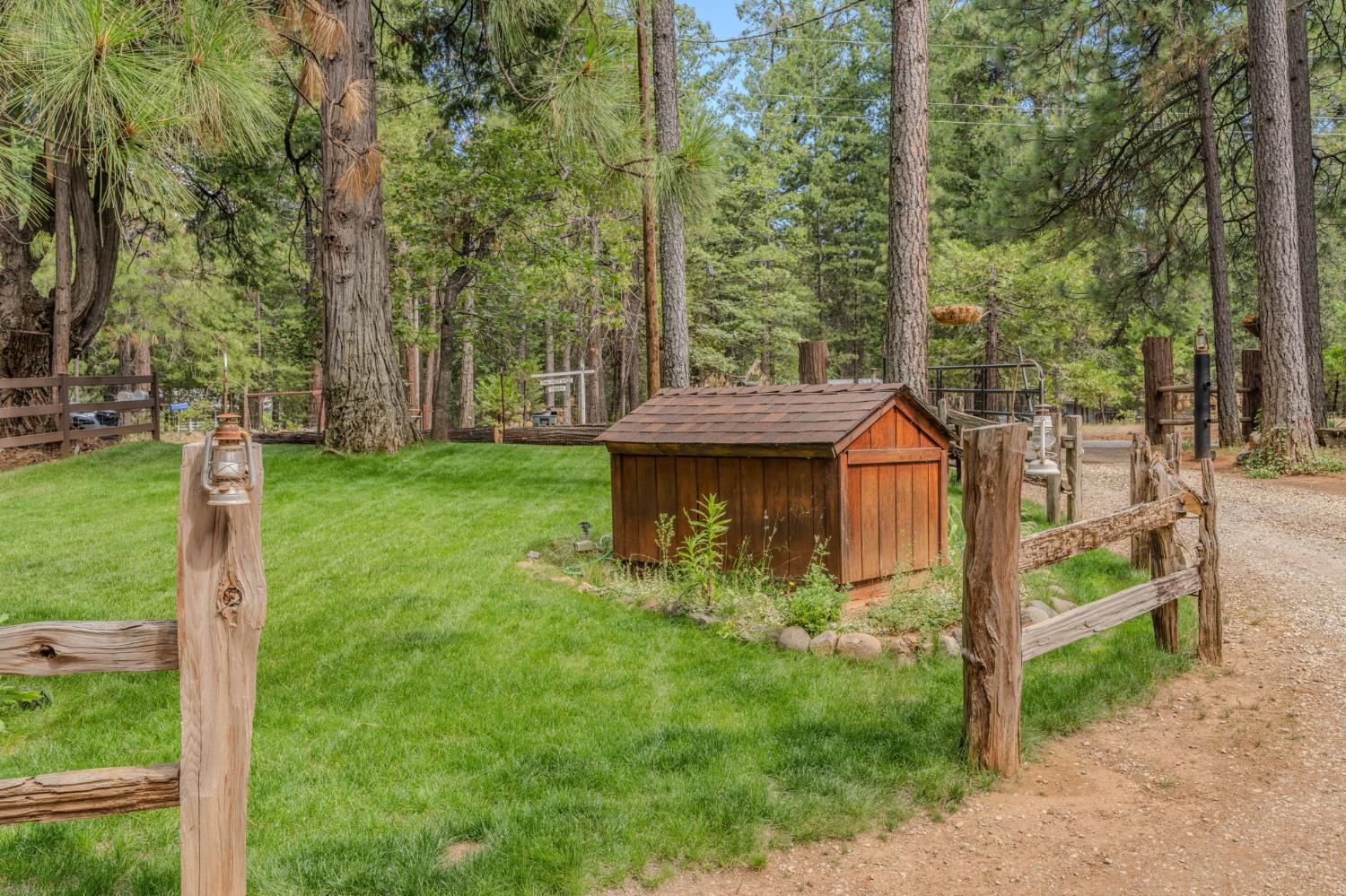 23823 Shake Ridge Road Volcano, CA 95689 - Photo 7 of 80