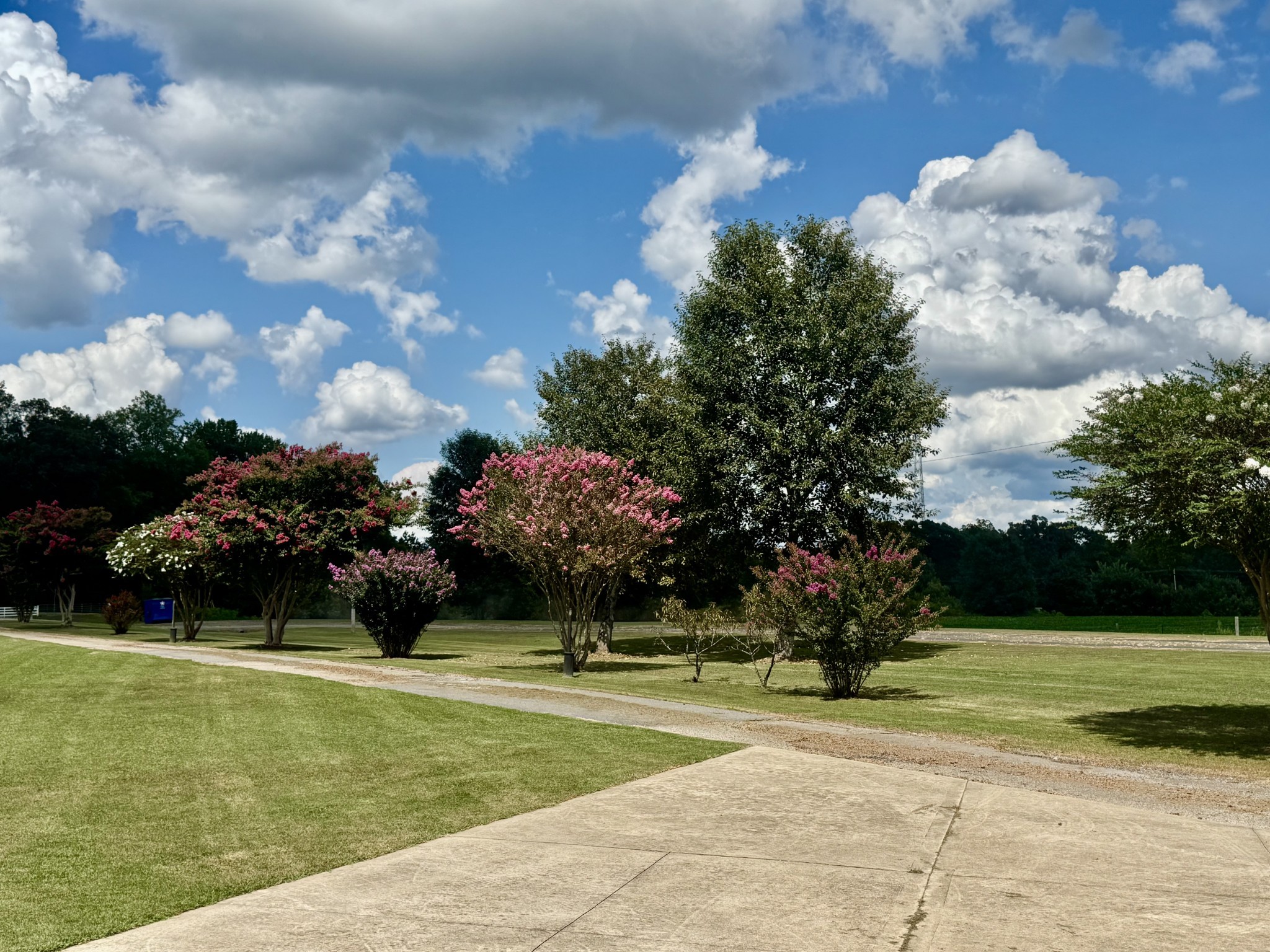 2982 Harvey Bowden Road Springville, TN 38256 - Photo 60 of 100
