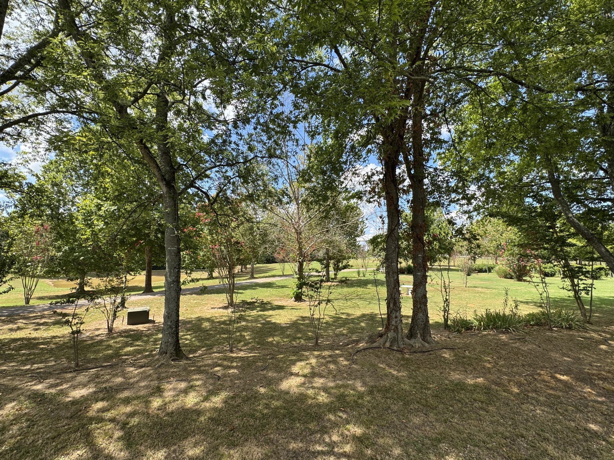 2982 Harvey Bowden Road Springville, TN 38256 - Photo 82 of 100