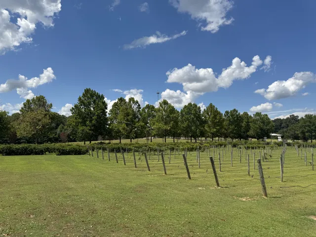 $1,499,900 | 2982 Harvey Bowden Road, Springville, TN 38256