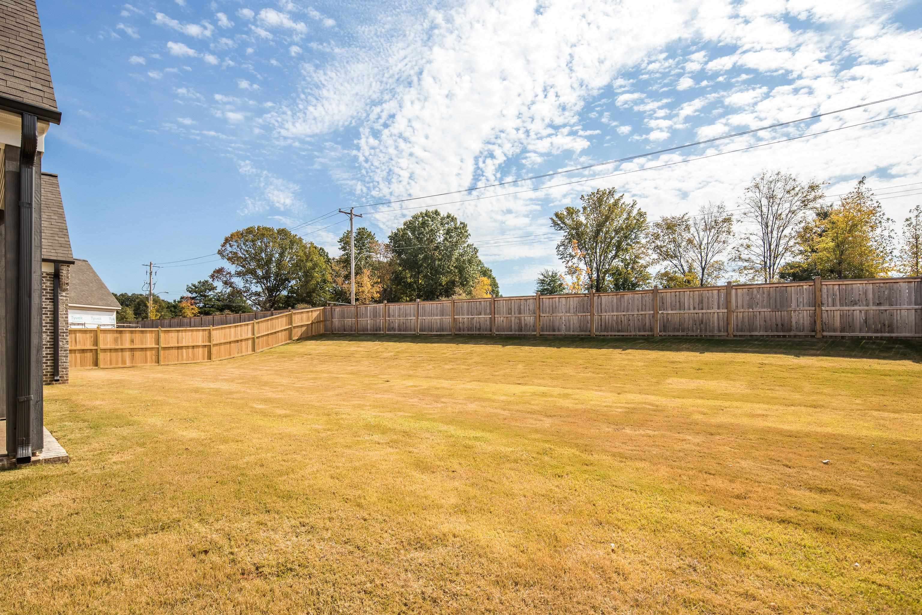 10145 Nighthawk Cove Collierville, TN 38017 - Photo 25 of 25 a view of yard and swimming pool