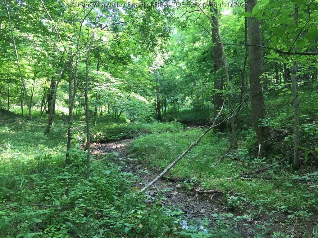 0 Fleshers Run Road Ravenswood, WV 26164 - Photo 4 of 8 Gallery Image 4