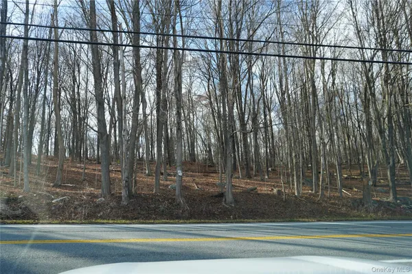 $250,000 | Rt-301, Carmel, NY 10512