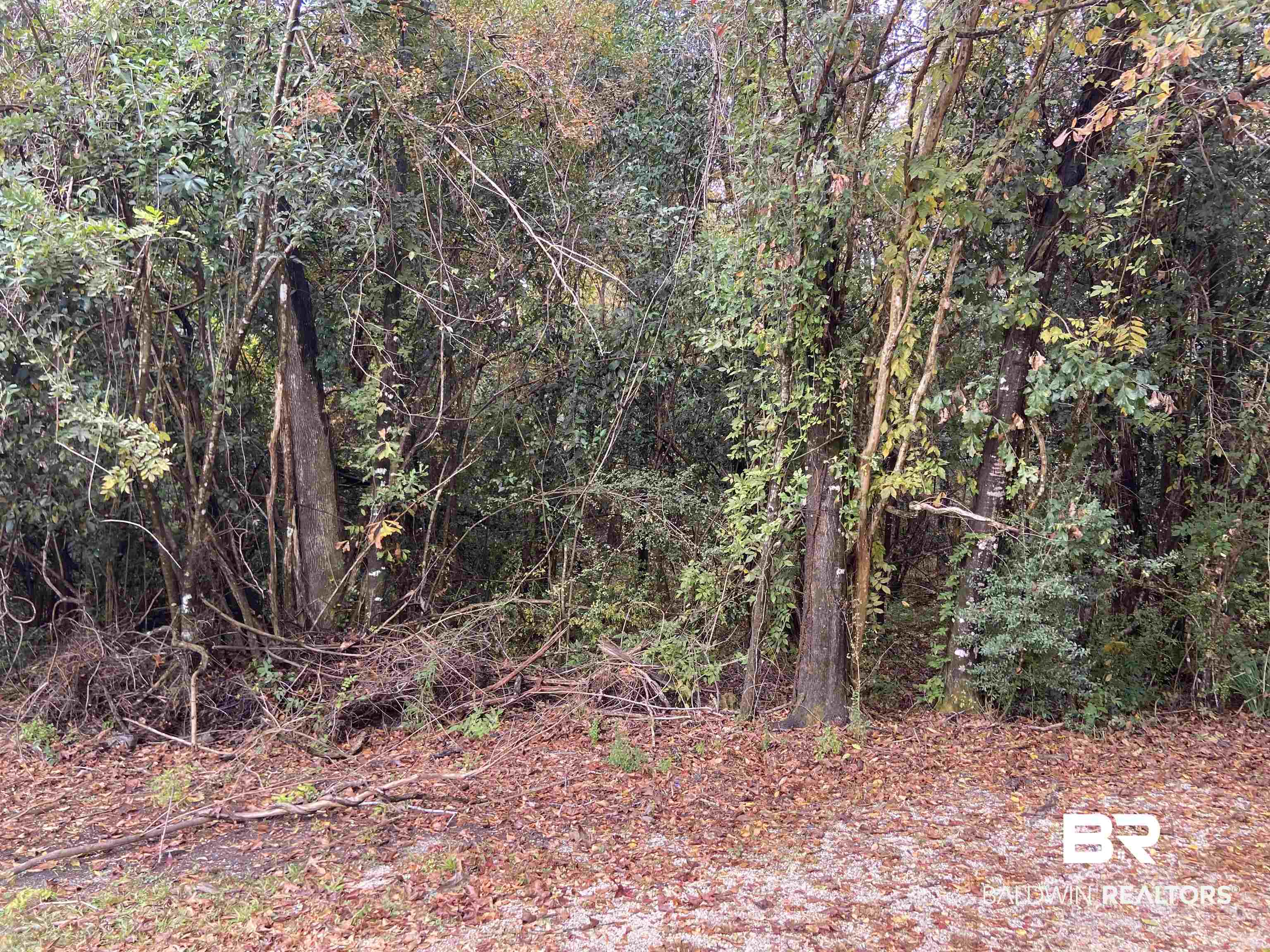0 Bruner Road Brewton, AL 36426 - Photo 2 of 4